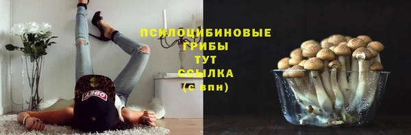 кокаин премиум Богданович