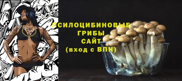 a pvp Богородск