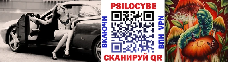 Купить где  Тайга  Псилоцибиновые грибы MAGIC MUSHROOMS 